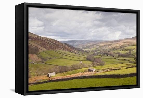 Swaledale in the Yorkshire Dales National Park, Yorkshire, England, United Kingdom, Europe-Julian Elliott-Framed Premier Image Canvas