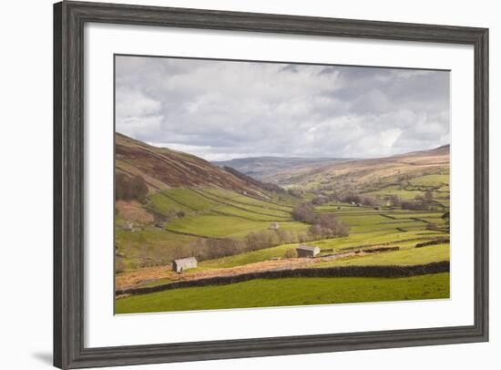 Swaledale in the Yorkshire Dales National Park, Yorkshire, England, United Kingdom, Europe-Julian Elliott-Framed Photographic Print