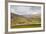 Swaledale in the Yorkshire Dales National Park, Yorkshire, England, United Kingdom, Europe-Julian Elliott-Framed Photographic Print