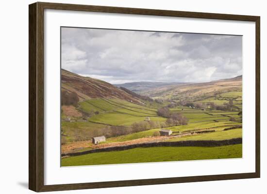 Swaledale in the Yorkshire Dales National Park, Yorkshire, England, United Kingdom, Europe-Julian Elliott-Framed Photographic Print