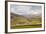 Swaledale in the Yorkshire Dales National Park, Yorkshire, England, United Kingdom, Europe-Julian Elliott-Framed Photographic Print