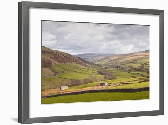 Swaledale in the Yorkshire Dales National Park, Yorkshire, England, United Kingdom, Europe-Julian Elliott-Framed Photographic Print