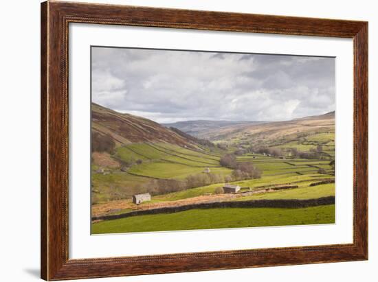 Swaledale in the Yorkshire Dales National Park, Yorkshire, England, United Kingdom, Europe-Julian Elliott-Framed Photographic Print