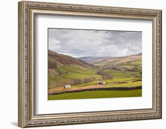 Swaledale in the Yorkshire Dales National Park, Yorkshire, England, United Kingdom, Europe-Julian Elliott-Framed Photographic Print