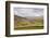 Swaledale in the Yorkshire Dales National Park, Yorkshire, England, United Kingdom, Europe-Julian Elliott-Framed Photographic Print