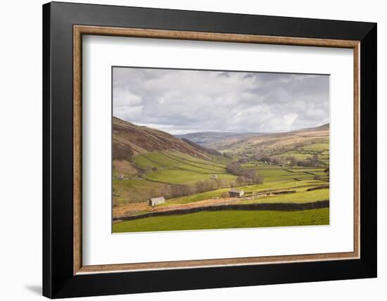 Swaledale in the Yorkshire Dales National Park, Yorkshire, England, United Kingdom, Europe-Julian Elliott-Framed Photographic Print