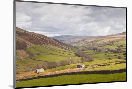 Swaledale in the Yorkshire Dales National Park, Yorkshire, England, United Kingdom, Europe-Julian Elliott-Mounted Photographic Print