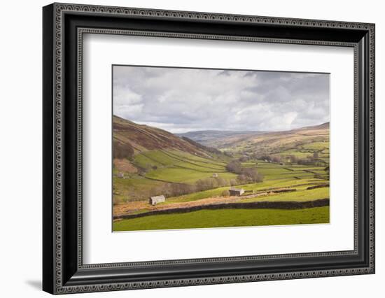 Swaledale in the Yorkshire Dales National Park, Yorkshire, England, United Kingdom, Europe-Julian Elliott-Framed Photographic Print