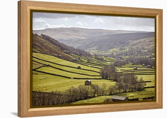 Swaledale, North Yorkshire, Yorkshire, England, United Kingdom, Europe-Mark Mawson-Framed Premier Image Canvas
