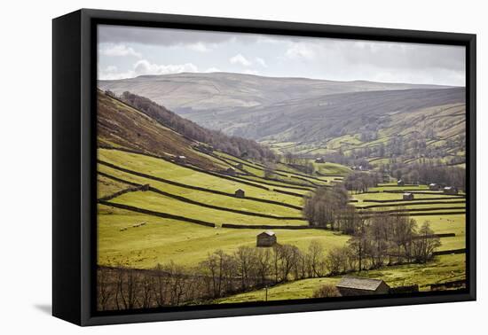 Swaledale, North Yorkshire, Yorkshire, England, United Kingdom, Europe-Mark Mawson-Framed Premier Image Canvas