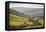 Swaledale, North Yorkshire, Yorkshire, England, United Kingdom, Europe-Mark Mawson-Framed Premier Image Canvas