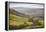 Swaledale, North Yorkshire, Yorkshire, England, United Kingdom, Europe-Mark Mawson-Framed Premier Image Canvas