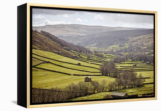 Swaledale, North Yorkshire, Yorkshire, England, United Kingdom, Europe-Mark Mawson-Framed Premier Image Canvas