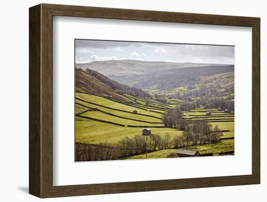 Swaledale, North Yorkshire, Yorkshire, England, United Kingdom, Europe-Mark Mawson-Framed Photographic Print