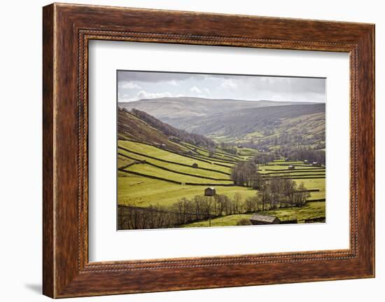 Swaledale, North Yorkshire, Yorkshire, England, United Kingdom, Europe-Mark Mawson-Framed Photographic Print