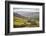 Swaledale, North Yorkshire, Yorkshire, England, United Kingdom, Europe-Mark Mawson-Framed Photographic Print