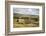 Swaledale, Yorkshire Dales, North Yorkshire, Yorkshire, England, United Kingdom, Europe-Mark Mawson-Framed Photographic Print