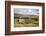 Swaledale, Yorkshire Dales, North Yorkshire, Yorkshire, England, United Kingdom, Europe-Mark Mawson-Framed Photographic Print