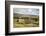 Swaledale, Yorkshire Dales, North Yorkshire, Yorkshire, England, United Kingdom, Europe-Mark Mawson-Framed Photographic Print