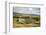 Swaledale, Yorkshire Dales, North Yorkshire, Yorkshire, England, United Kingdom, Europe-Mark Mawson-Framed Photographic Print