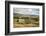 Swaledale, Yorkshire Dales, North Yorkshire, Yorkshire, England, United Kingdom, Europe-Mark Mawson-Framed Photographic Print