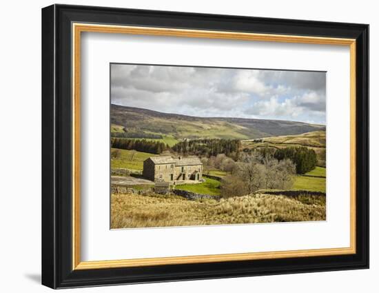 Swaledale, Yorkshire Dales, North Yorkshire, Yorkshire, England, United Kingdom, Europe-Mark Mawson-Framed Photographic Print