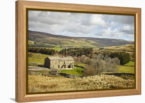 Swaledale, Yorkshire Dales, North Yorkshire, Yorkshire, England, United Kingdom, Europe-Mark Mawson-Framed Premier Image Canvas