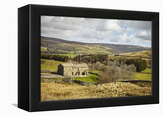 Swaledale, Yorkshire Dales, North Yorkshire, Yorkshire, England, United Kingdom, Europe-Mark Mawson-Framed Premier Image Canvas