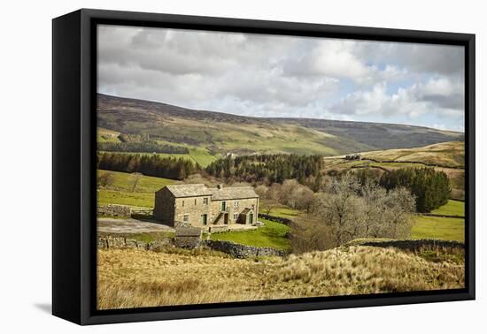 Swaledale, Yorkshire Dales, North Yorkshire, Yorkshire, England, United Kingdom, Europe-Mark Mawson-Framed Premier Image Canvas