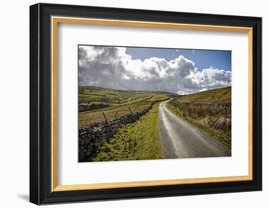 Swaledale, Yorkshire Dales, Yorkshire, England, United Kingdom, Europe-Mark Mawson-Framed Photographic Print