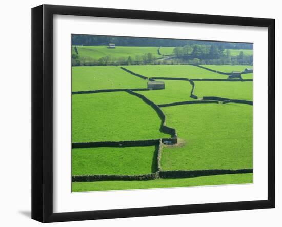 Swaledale, Yorkshire Dales, Yorkshire, England-Steve Vidler-Framed Photographic Print