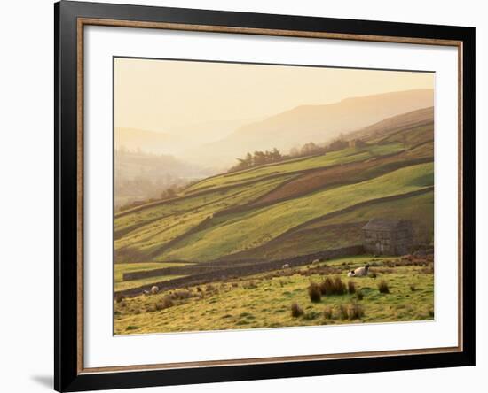 Swaledale, Yorkshire Dales, Yorkshire, England-Steve Vidler-Framed Photographic Print