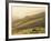 Swaledale, Yorkshire Dales, Yorkshire, England-Steve Vidler-Framed Photographic Print