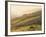 Swaledale, Yorkshire Dales, Yorkshire, England-Steve Vidler-Framed Photographic Print
