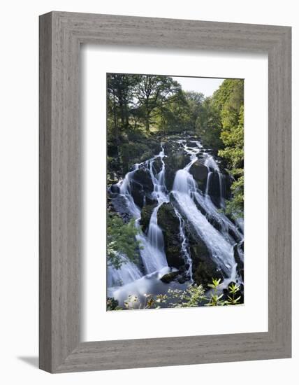 Swallow Falls, Betws-Y-Coed, Snowdonia National Park, Conwy, Wales, United Kingdom, Europe-Stuart Black-Framed Photographic Print