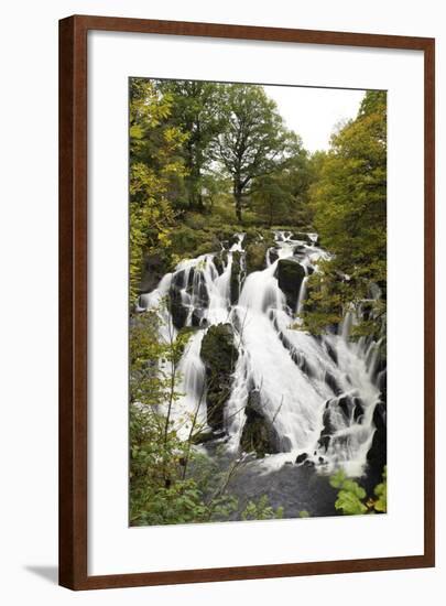 Swallow Falls in Autumn, Near Betwys-Y-Coed, on River Llugwy, Conwy, Wales, United Kingdom, Europe-Peter Barritt-Framed Photographic Print