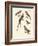 Swallow-Like Birds-null-Framed Giclee Print