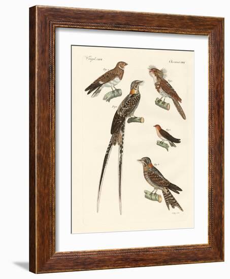 Swallow-Like Birds-null-Framed Giclee Print