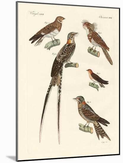 Swallow-Like Birds-null-Mounted Giclee Print