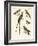 Swallow-Like Birds-null-Framed Giclee Print