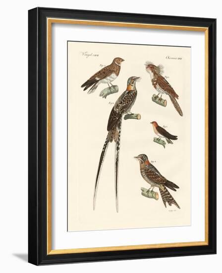 Swallow-Like Birds-null-Framed Giclee Print