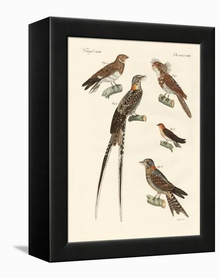 Swallow-Like Birds-null-Framed Premier Image Canvas