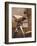 Swallow On Bicycle-Peter Munro-Framed Premium Giclee Print