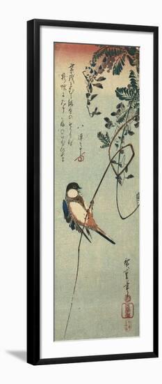 Swallow Perched on a Tendril of Wisteria-Okada Beisanjin-Framed Giclee Print