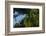 Swallow-Tailed Kites Roosting, Lake Woodruff NWR, Florida-Maresa Pryor-Framed Photographic Print