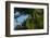 Swallow-Tailed Kites Roosting, Lake Woodruff NWR, Florida-Maresa Pryor-Framed Photographic Print