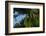 Swallow-Tailed Kites Roosting, Lake Woodruff NWR, Florida-Maresa Pryor-Framed Photographic Print