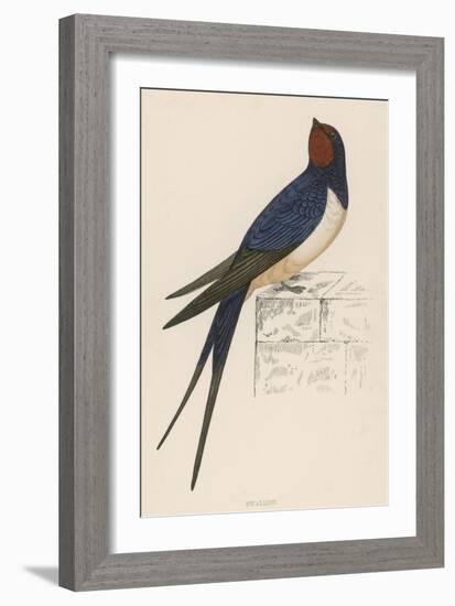 Swallow-Reverend Francis O. Morris-Framed Art Print