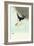 Swallows and Bee-Koson Ohara-Framed Giclee Print