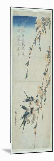 Swallows and Peach Blossom in Moonlight-Ando Hiroshige-Mounted Giclee Print